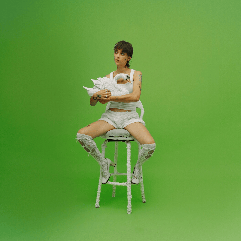 Album cover art for "_jun perseides" by Pomme