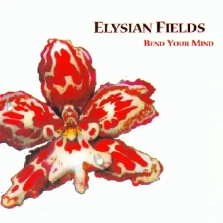 Bend Your Mind by Elysian Fields
