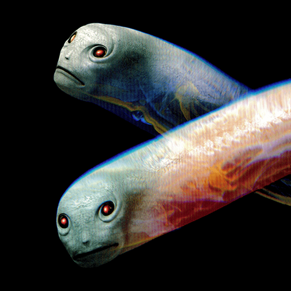 Album cover art for "Vicarious" by Tool