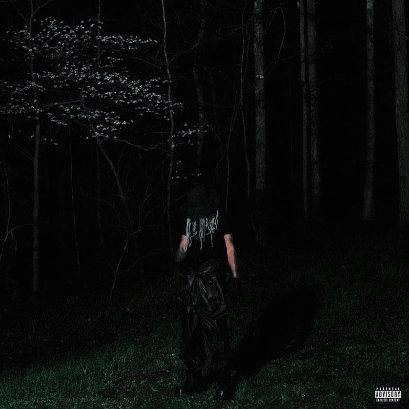 Cover image for If Looks Could Kill (CD Version)