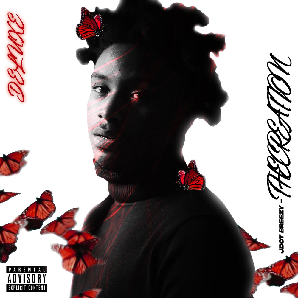 Cover image for The Creation (Deluxe Edition)