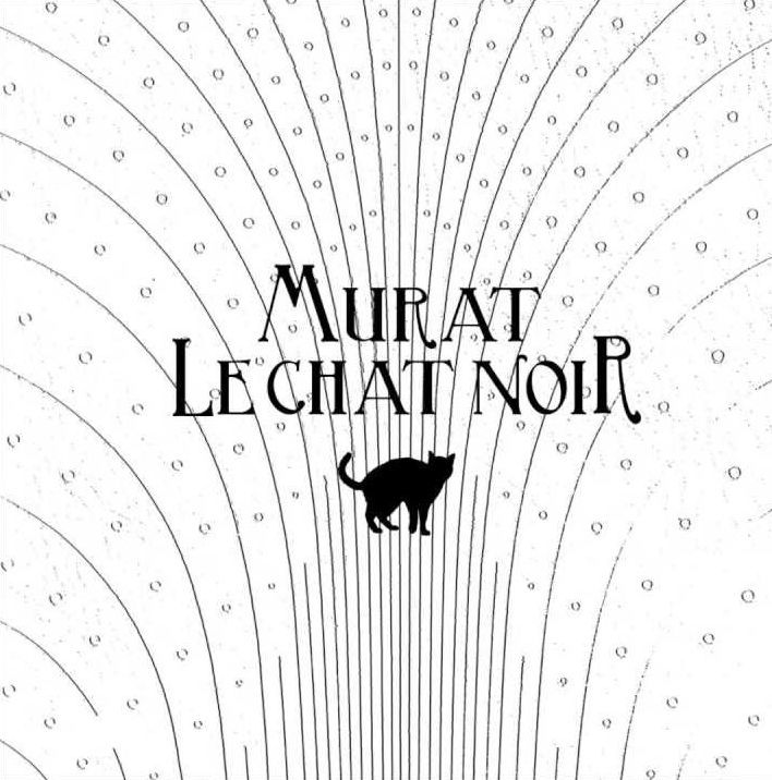 Album cover art for "Le chat noir" by Jean-Louis Murat