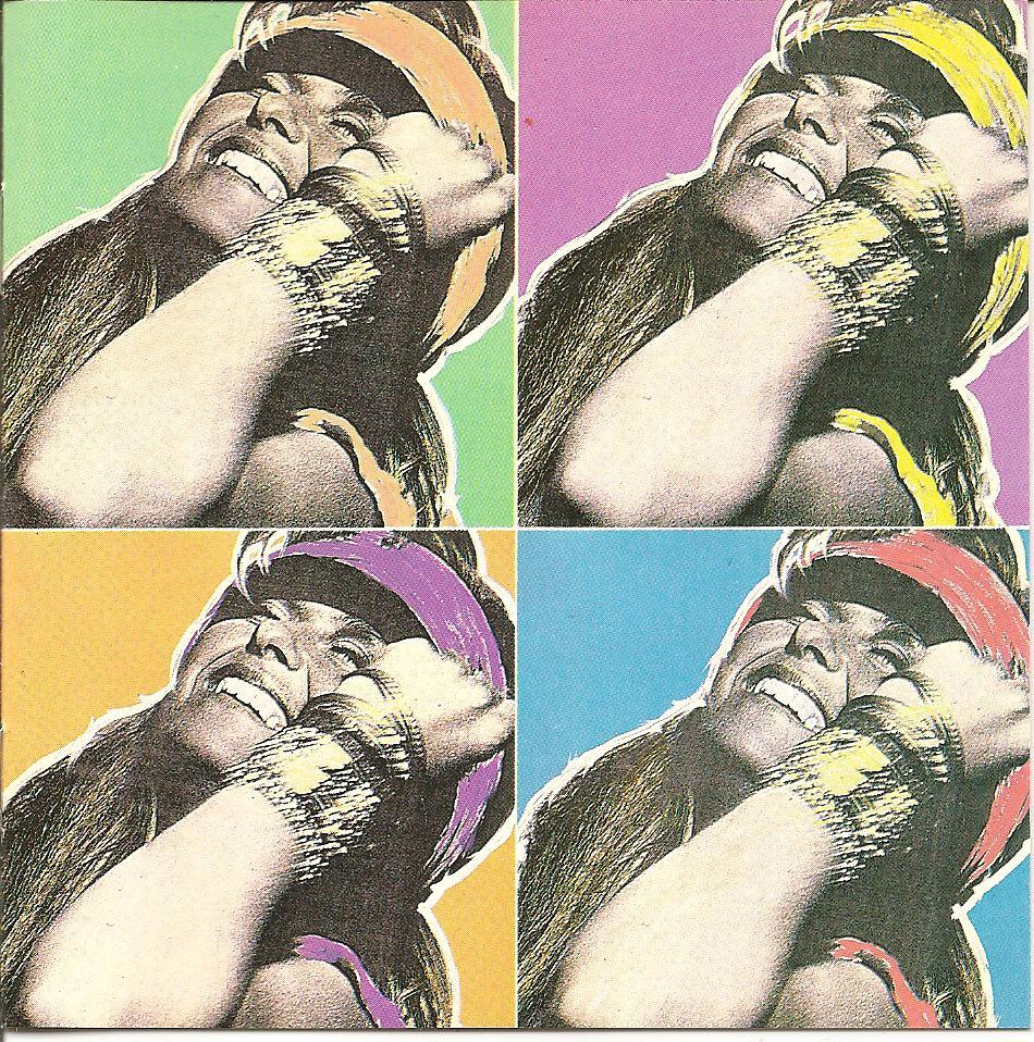 Cover image for Sanne Salomonsen (1985)