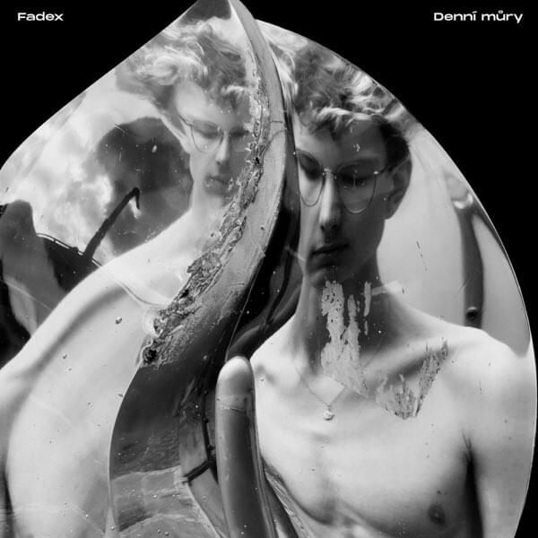 Cover image for Denní můry