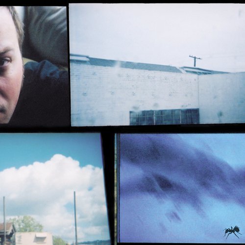 The Physical Voice by Alias (anticon.)