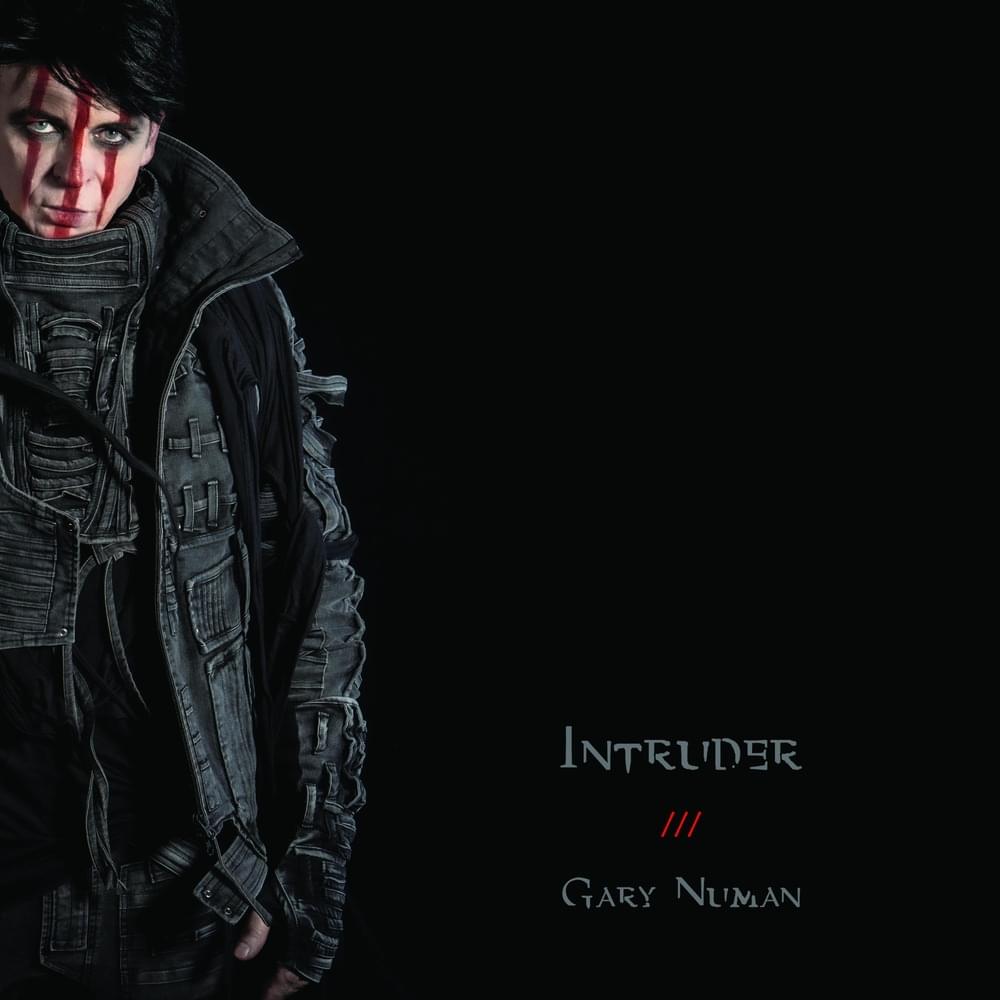 Cover image for Intruder