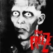 Cover image for The Freeze