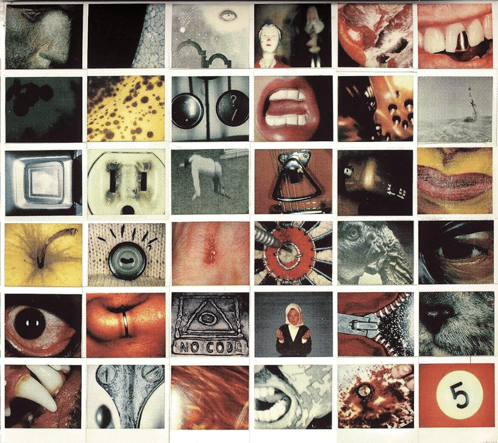 Album cover art for "Red Mosquito" by Pearl Jam