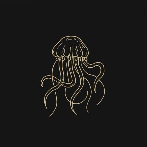 Album cover art for "Jellyfish" by ​triple j