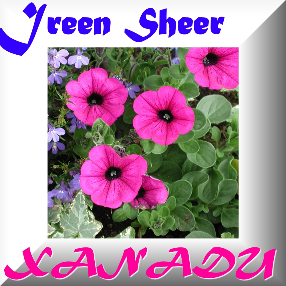 Album cover art for "Xanadu" by Ireen Sheer