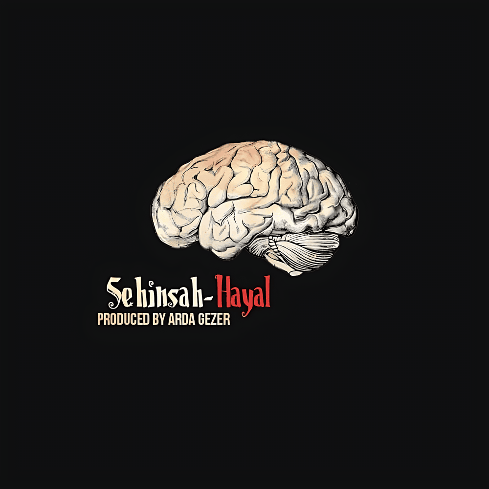 Album cover art for "Hayal" by Şehinşah
