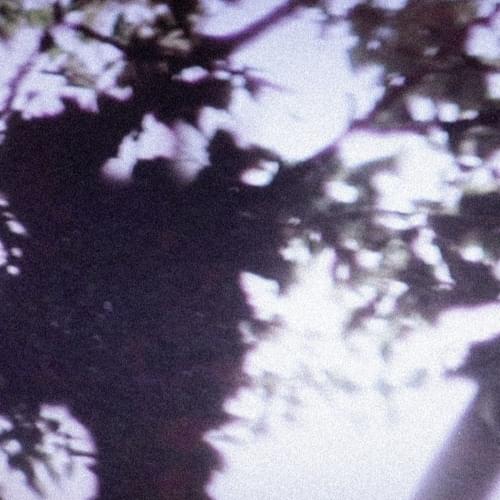 Album cover art for "IShould’veJumped" by Biv