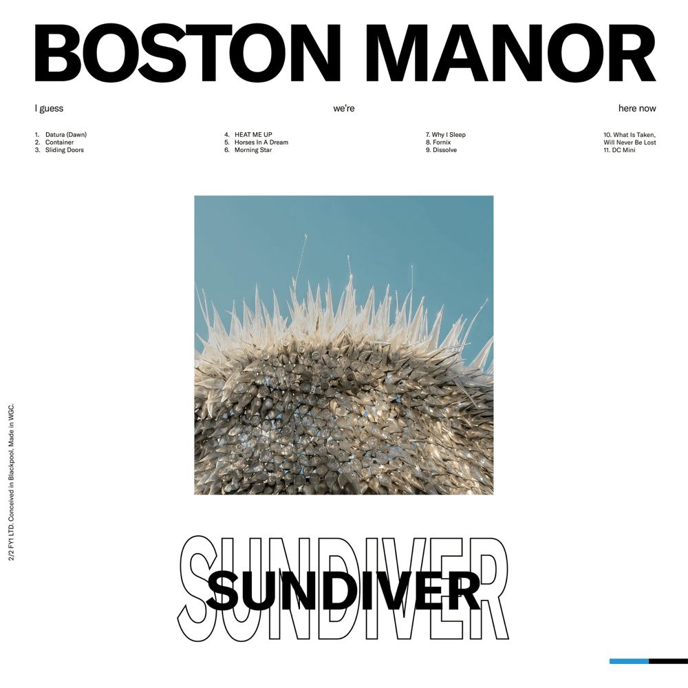 Cover image for Sundiver