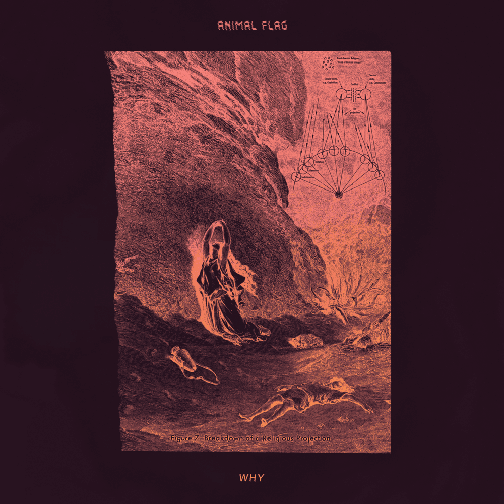 Album cover art for "Why" by Animal Flag