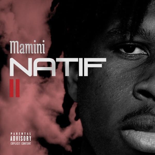 Album cover art for "Natif #2" by Oklmava