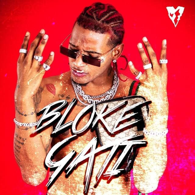 Cover image for Bloke Gati