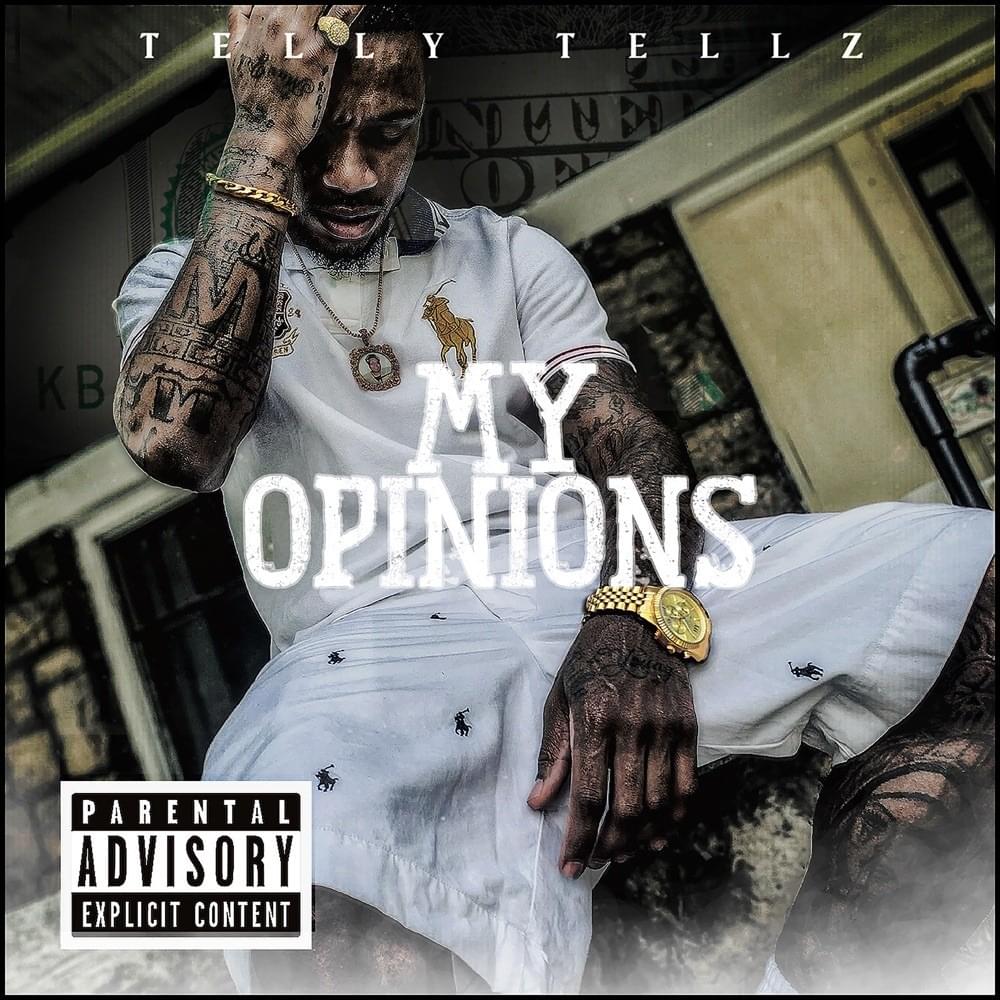 Cover image for My Opinions