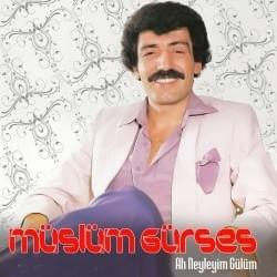 Cover image for Ah Neyleyim Gülüm