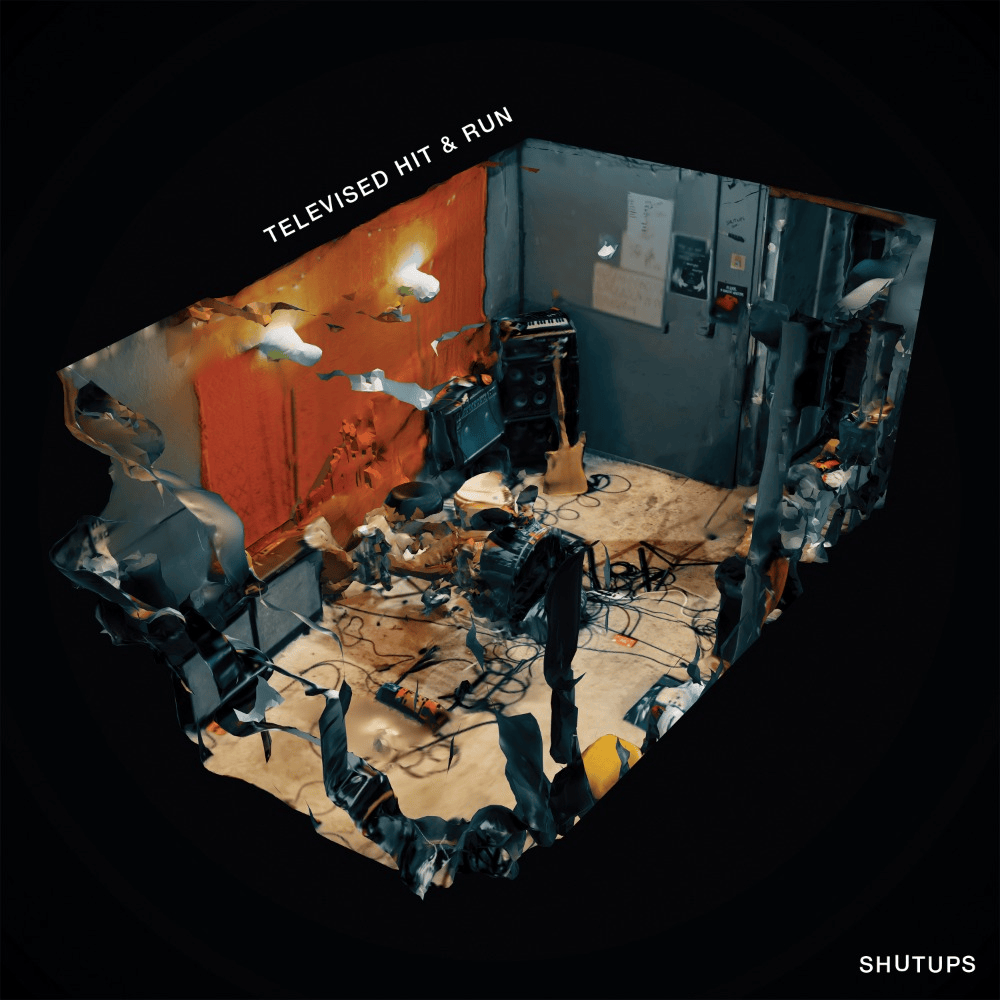 Album cover art for "Televised Hit & Run" by Shutups
