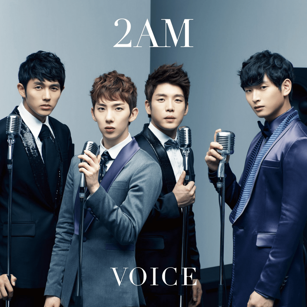 Cover image for VOICE