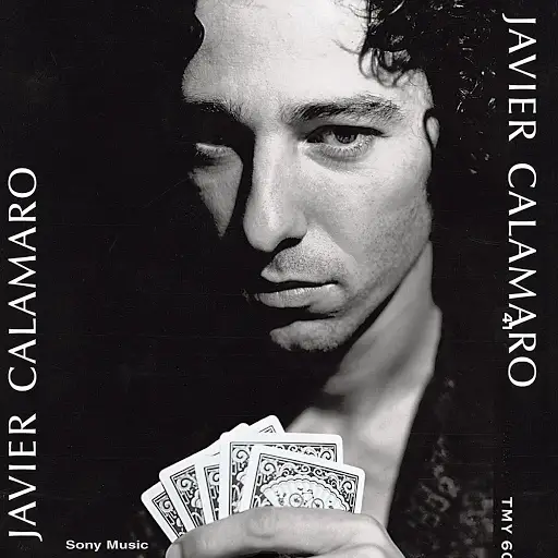 Sin Ser Valiente by Javier Calamaro