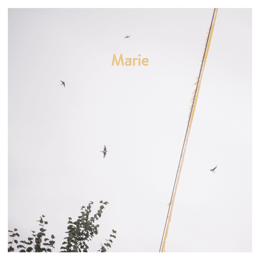 Album cover art for "Marie (Dach Session)" by AnnenMayKantereit