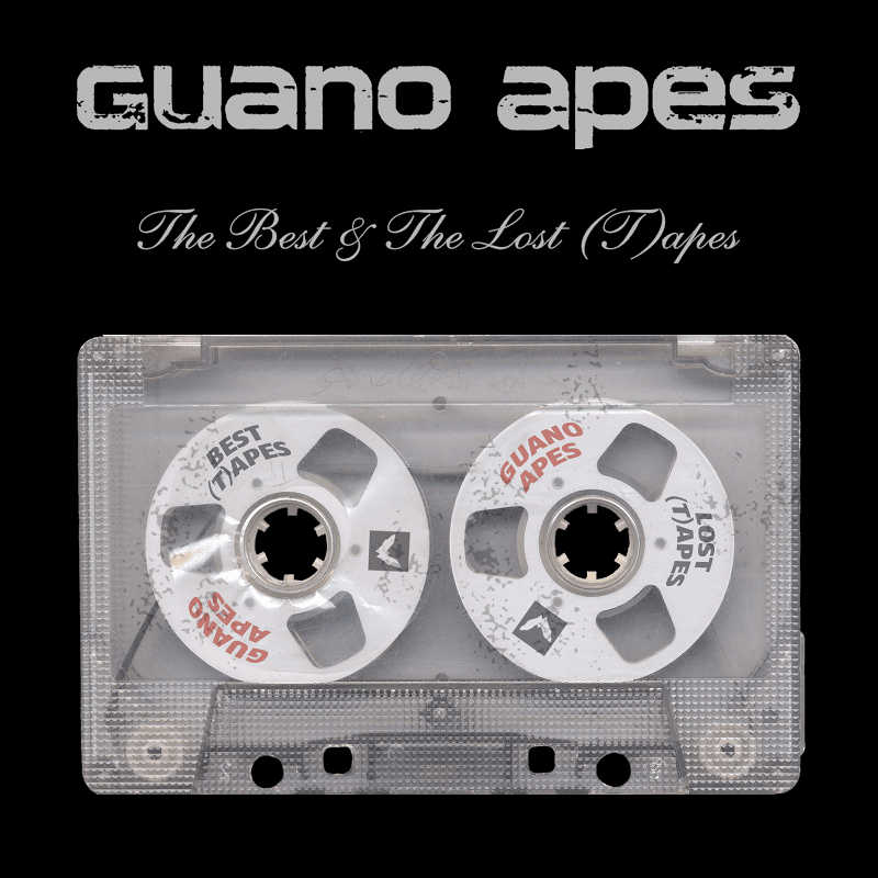 Cover image for The Best & The Lost (T)apes