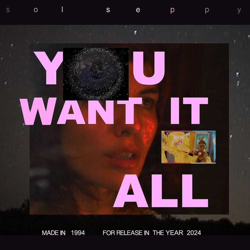 You Want It All by Sol Seppy