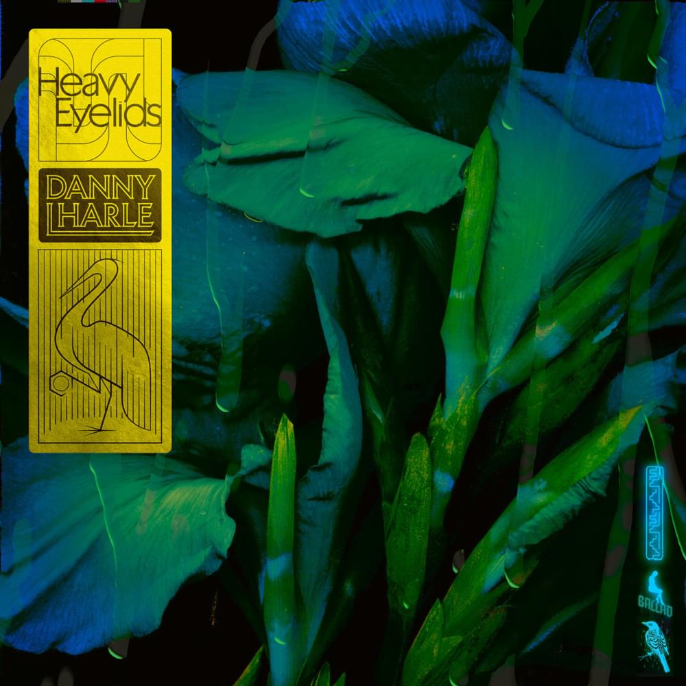 Album cover art for "Heavy Eyelids" by Danny L Harle