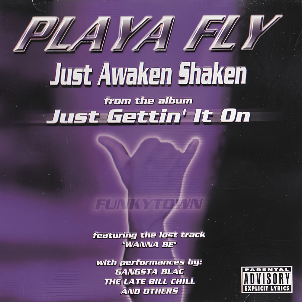 Just Awaken Shaken by Playa Fly