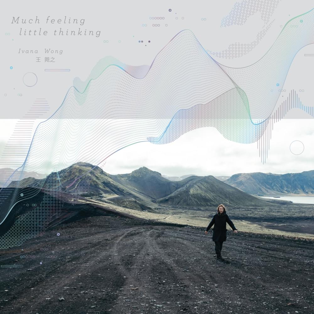 Cover image for Much Feeling Little Thinking