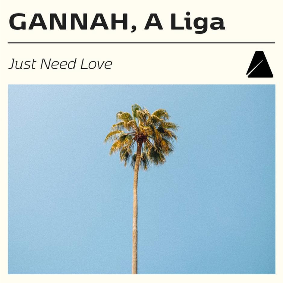 Album cover art for "Just Need Love" by VINNE