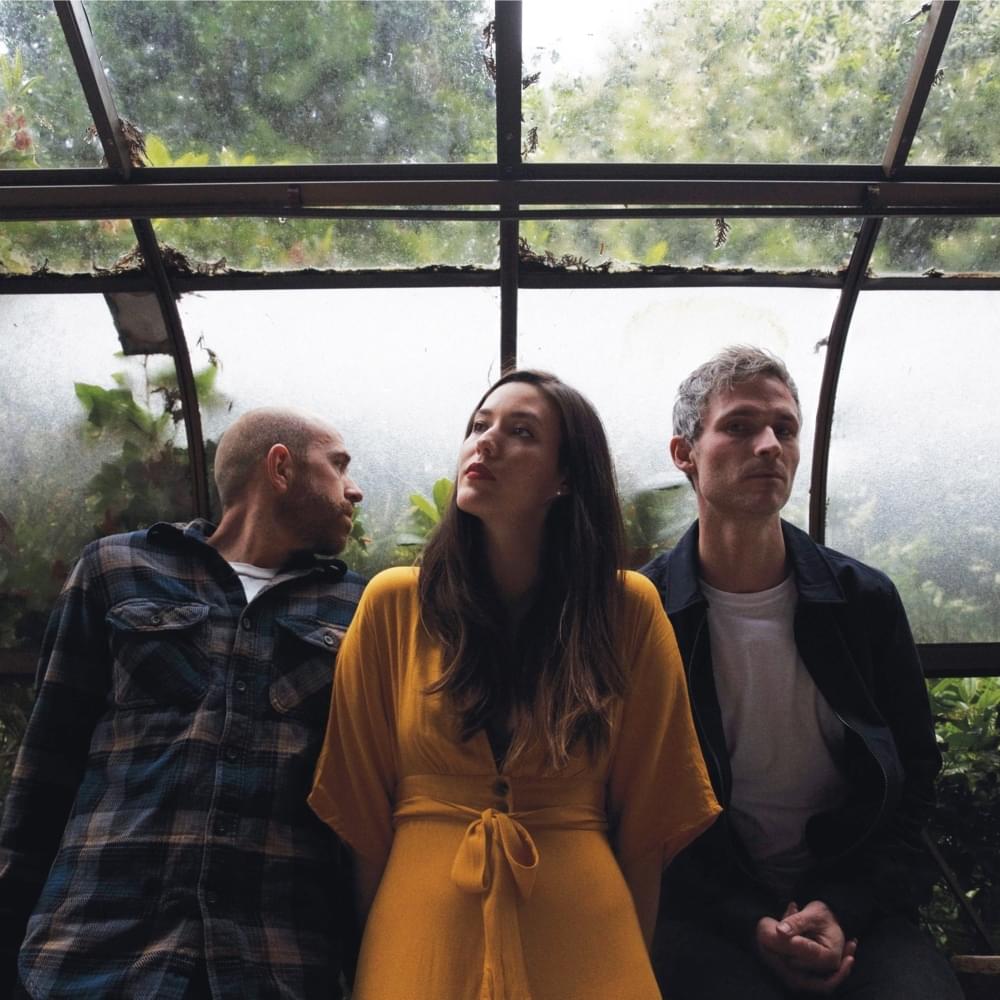 Cover image for Said The Whale
