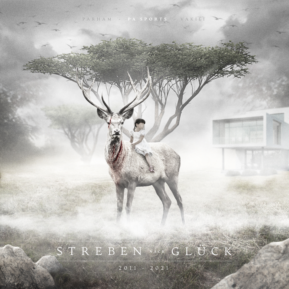 Album cover art for "Streben nach Glück" by PA Sports