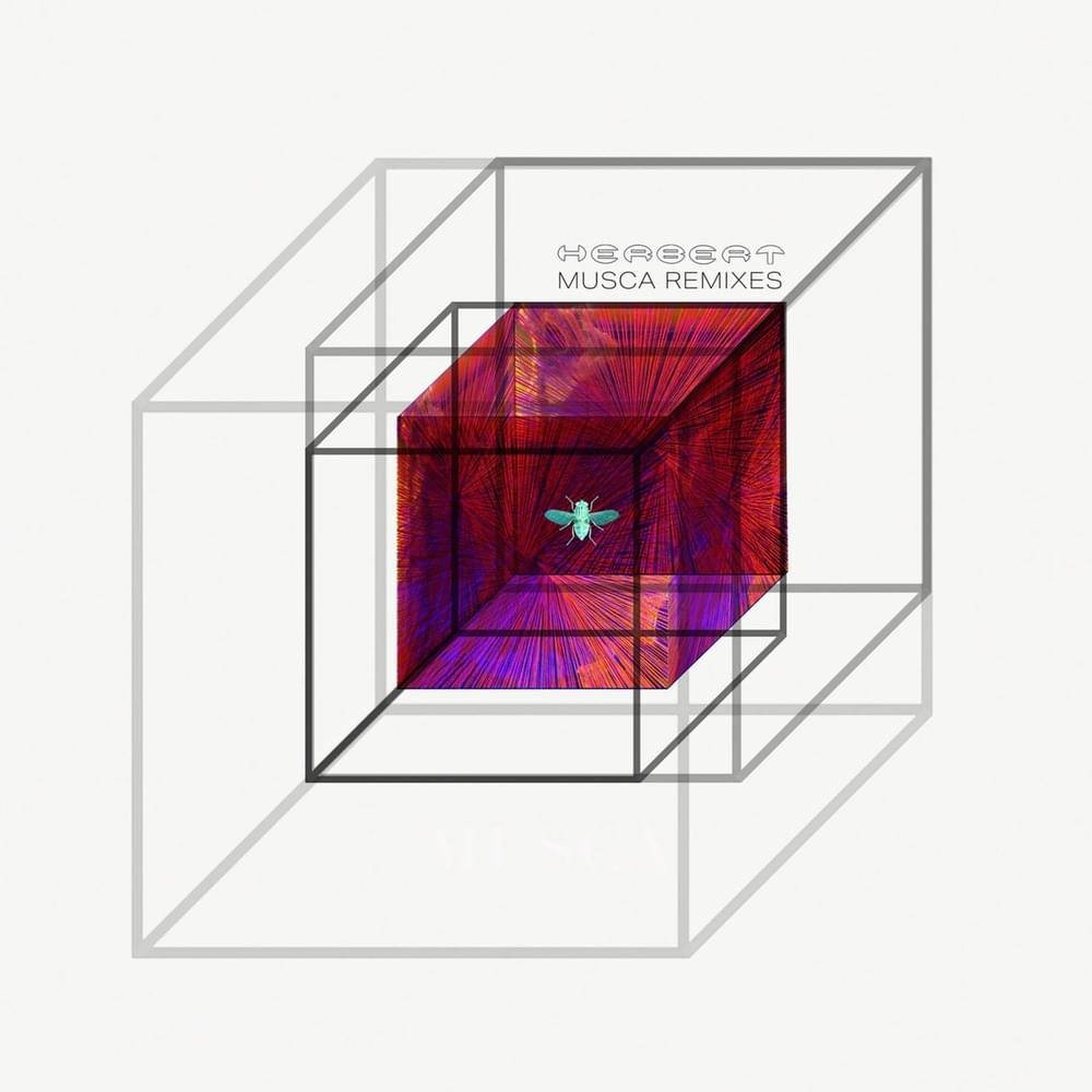 Cover image for Musca (Remixes)