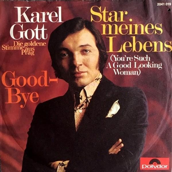 Cover image for Star meines Lebens (Single)