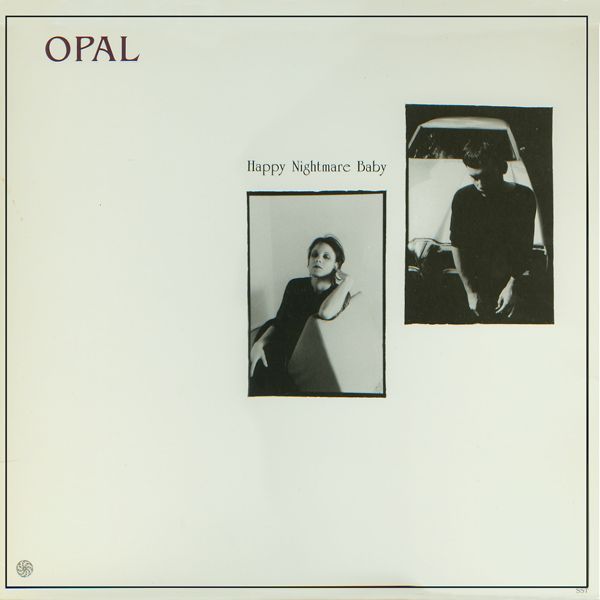 A Falling Star by Opal