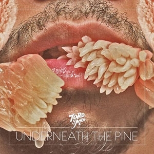 Album cover art for "Still Sound" by Toro y Moi