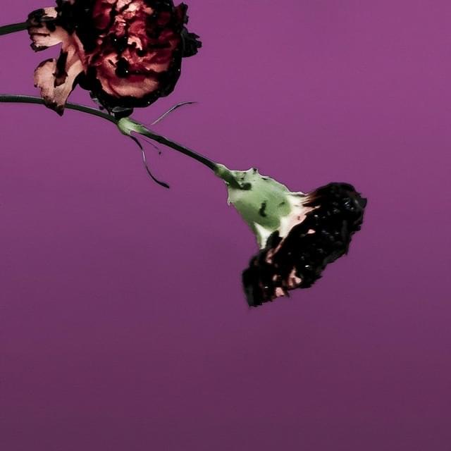 You & I (Nobody in the World) by John Legend
