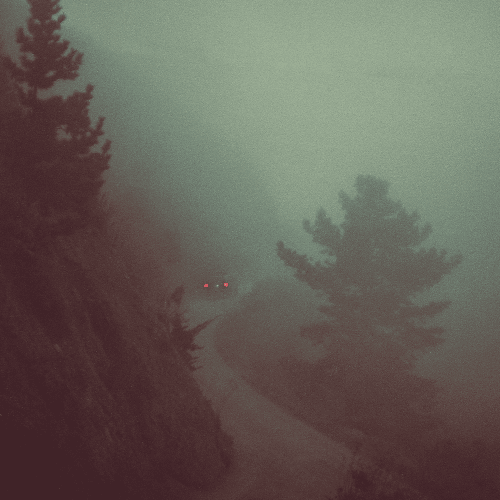 Album cover art for "The Wire" by Vancouver Sleep Clinic