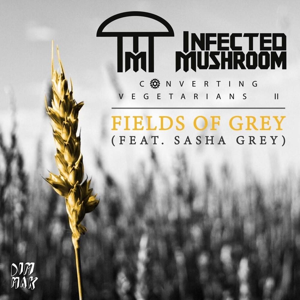 Fields of Grey (Skazi Remix) by Au5