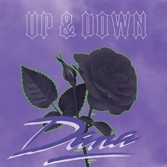 Cover image for Up & Down