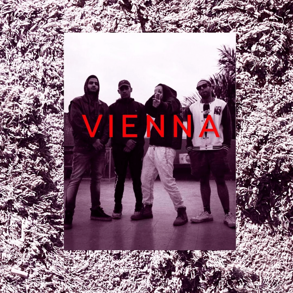 Vienna - ڤيينا by Abo El Anwar - أبو الأنوار