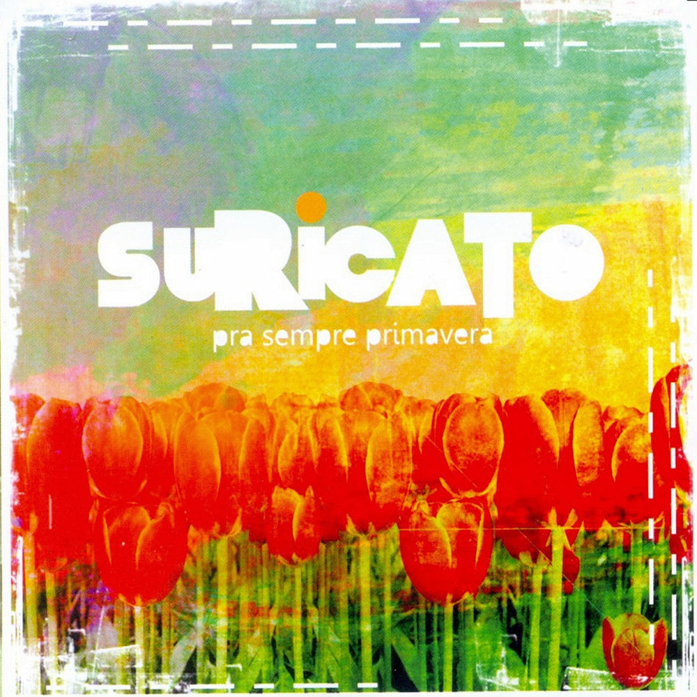 Diante de Qualquer Nariz by Suricato