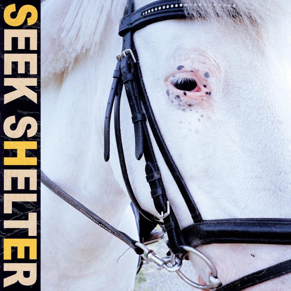 Cover image for Seek Shelter
