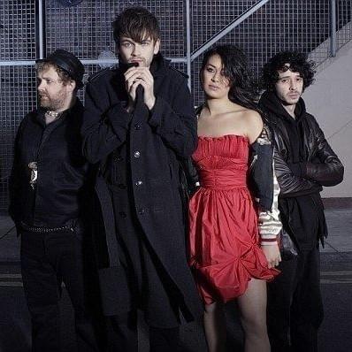 Guillemots Profile Picture Photo of Guillemots