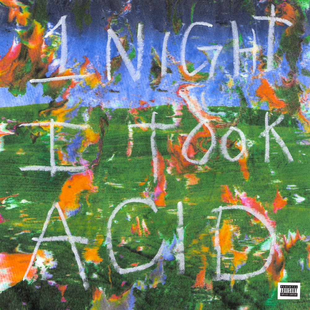 Cover image for 1 Night I Took Acid