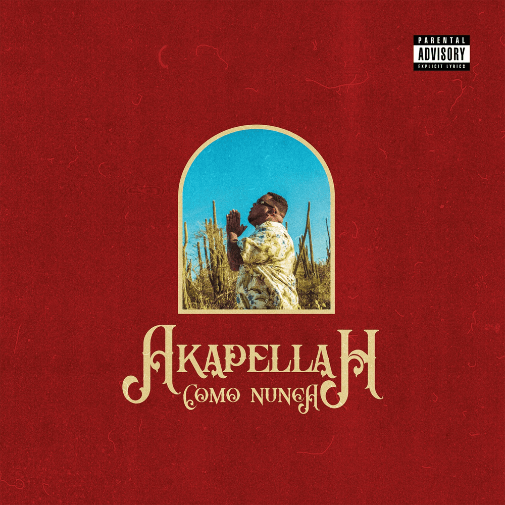 Cover image for Como Nunca