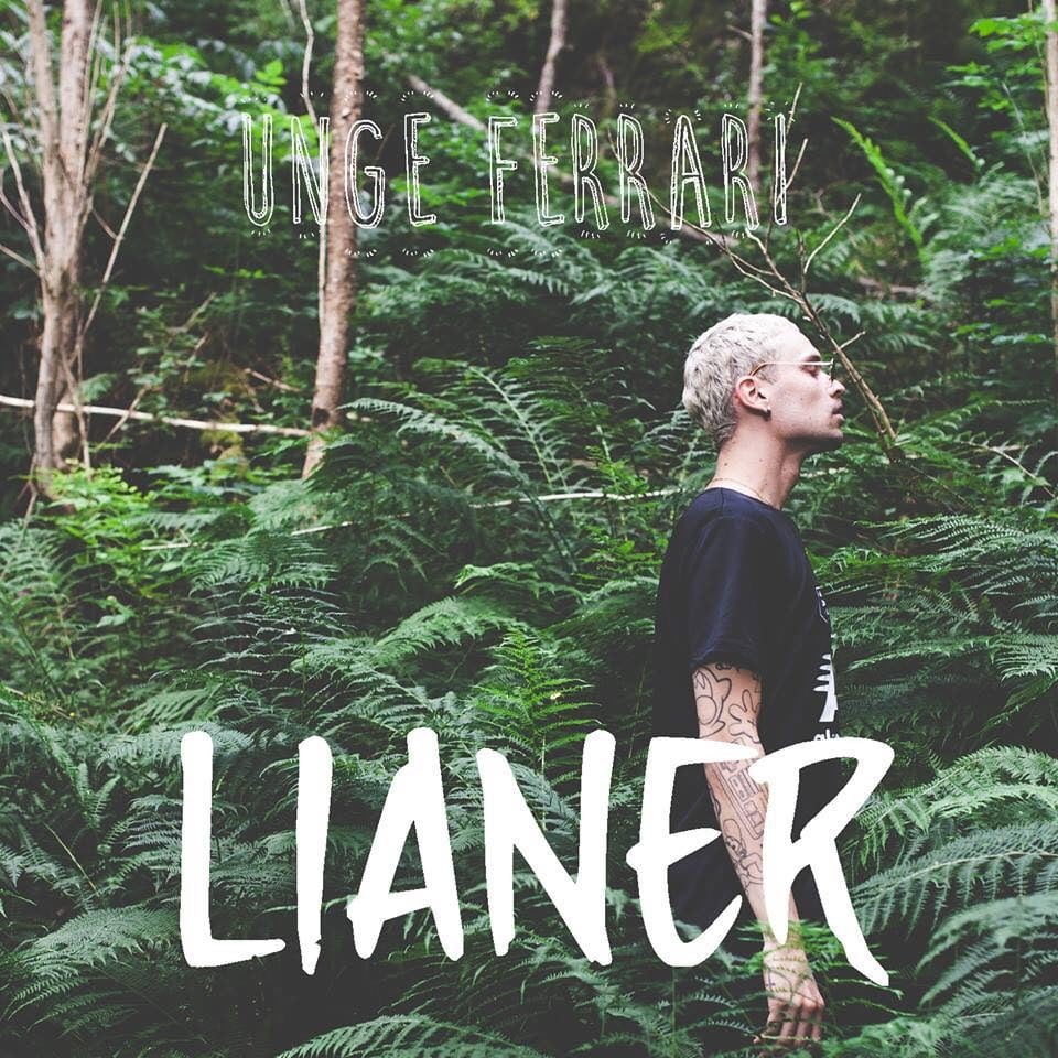 Lianer by Stig Brenner