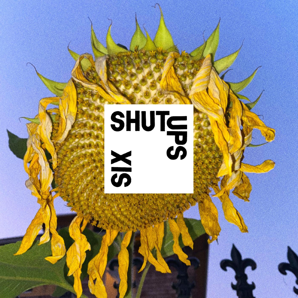 Album cover art for "Fake Xerox Punk (Soft Version)" by Shutups